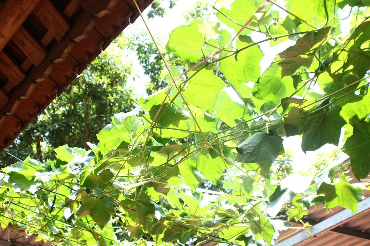 Chicken'S House- Duong Lam Homestay Hanoi Exteriör bild
